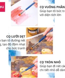 Thiết Kế Đa Dạng và Chất Lượng Cao