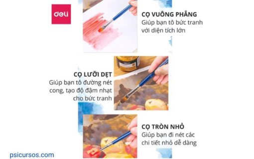 Thiết Kế Đa Dạng và Chất Lượng Cao